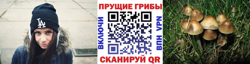 Галлюциногенные грибы MAGIC MUSHROOMS  Лесозаводск 